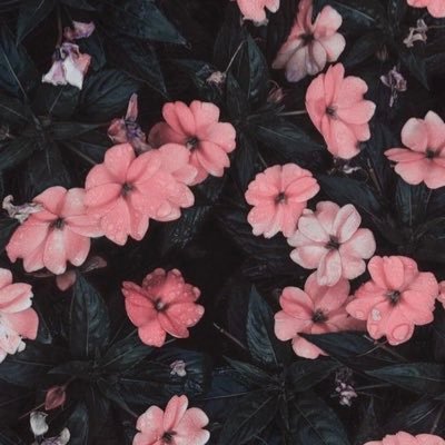 BumbleBeeSunny's profile picture. 