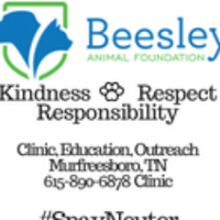 Beesley Foundation(@BeesleyAnimal) 's Twitter Profile Photo