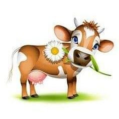 TheHolyCow_ Profile Picture