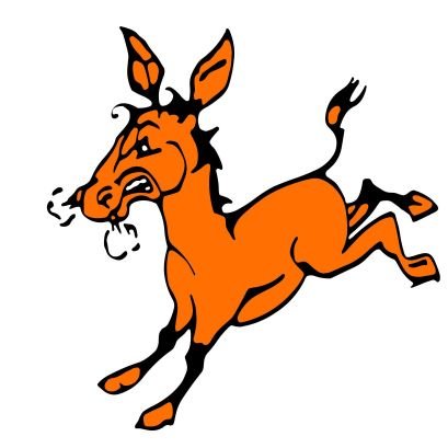 Lanesboro Burros Athletic Director