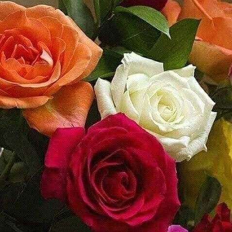 ArchitaSaha18's profile picture. 