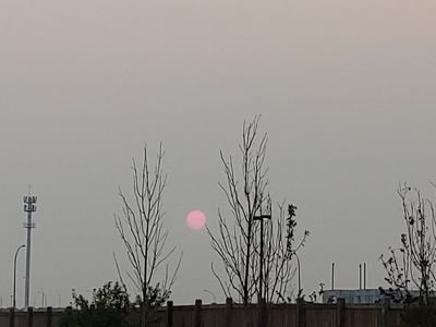 marshmellowguro's profile picture. Cosplay and such