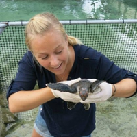 Tina Skinner (@drmanateena) 's Twitter Profile Photo Tina Skinner (@drmanateena) 's Twitter Profile Photo