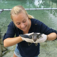 Tina Skinner(@DrManateena) 's Twitter Profile Photo