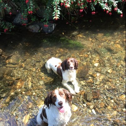 oatsey87's profile picture. 