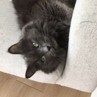 Nannezz (@xnannerz) 's Twitter Profile