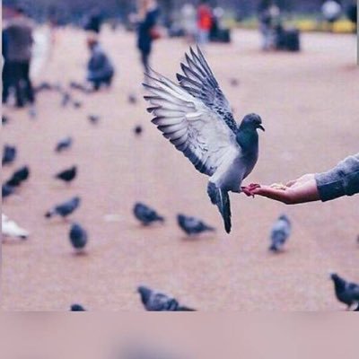 يوجد لدينا سعودة بدون عمل الاسماء محدوده .