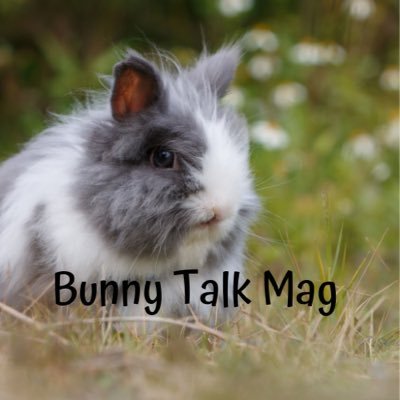 The U.S. magazine for Bunny parents promoting health and welfare, resources, quality care, and advice.
