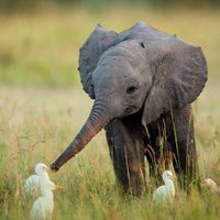 Ritz9 (@drslc_writes) 's Twitter Profile