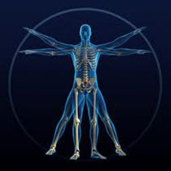 @BiomechanicsSig