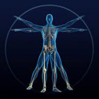 Biomechanics SIG (@biomechanicssig) 's Twitter Profile Photo Biomechanics SIG (@biomechanicssig) 's Twitter Profile Photo