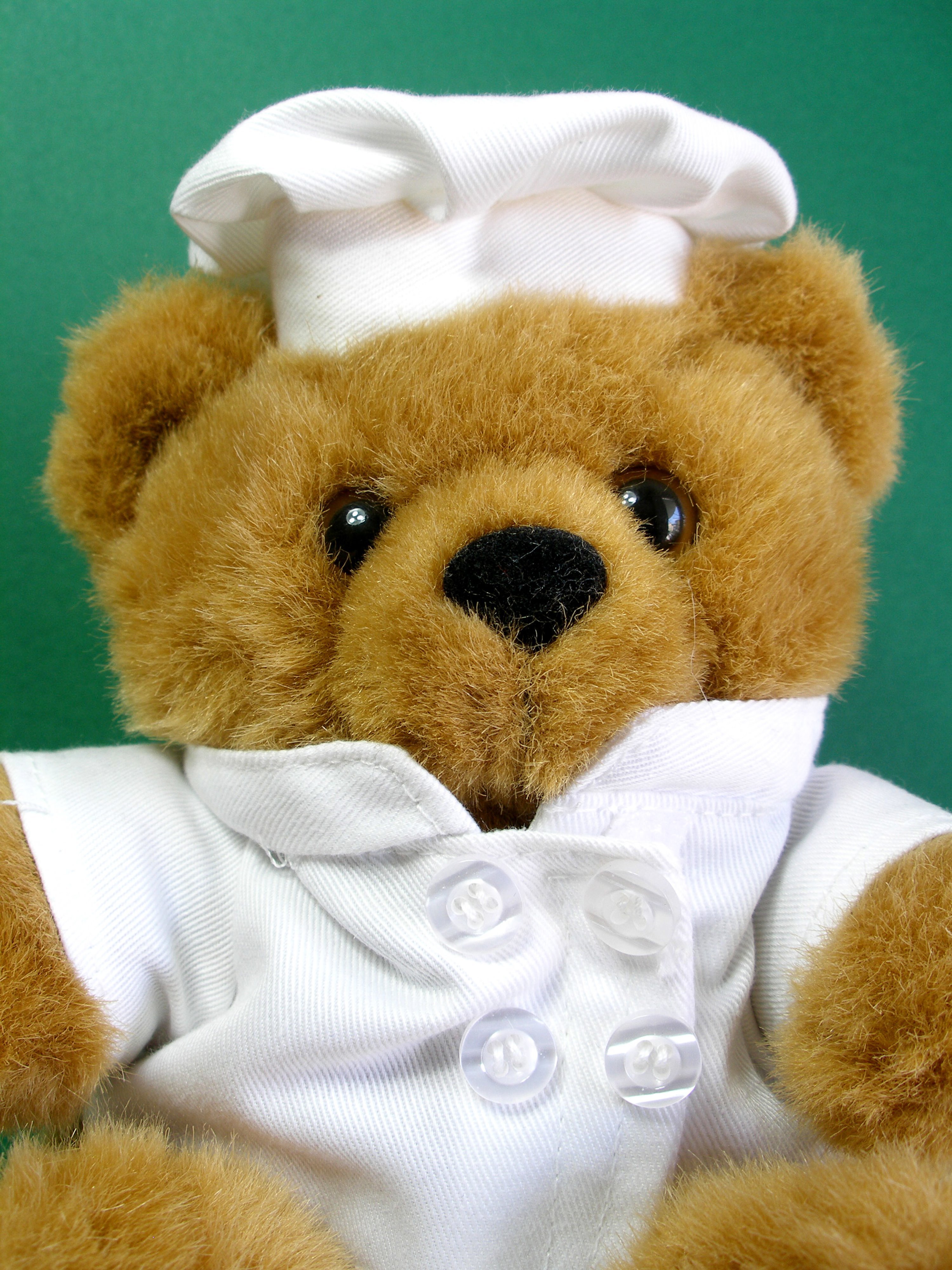 CappyChef's profile picture. Chef Cappy is a fun stuffed bear chef who has a group of sous chefs helping prepare recipes in his book, Chef Cappy's Kitchen - STEM facts and healthy recipes.