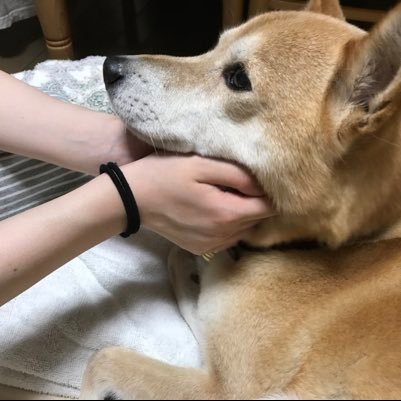 ろろママさんのプロフィール画像