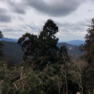 tonakai190's profile picture. 2020.1.30 米国株始めました。              米国株の備忘録　