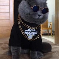 淡然出品 (@danranchuping1) Twitter profile photo