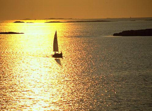 deosmon's profile picture. easy slowly