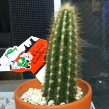 sabo1010daaaa's profile picture. 商品先物外務員→ガス会社営業→FXトレーダー→4tトラックドライバー→家賃保証会社→SES営業→退職(今ココ)FX,仮想通貨、ゴールド投資