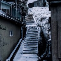 階段巡りツイッター(@kaidanmeguri) 's Twitter Profile Photo