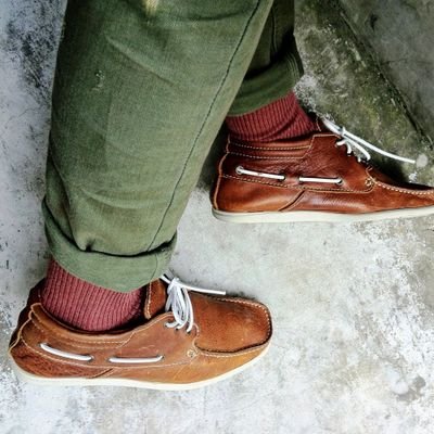 sagaholydog's profile picture. 