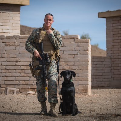DeLarmclock's profile picture. Military Working Dog Handler April 16th 2018 🐕🐕        #theNSLS