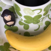 こざるカフェ (@kozarus_cafe17) 's Twitter Profile Photo