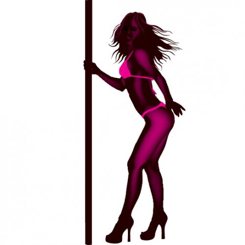 Hull's exciting new pole dance and burlesque studios!