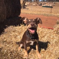 Tom Bath (@tommy_bath) 's Twitter Profile