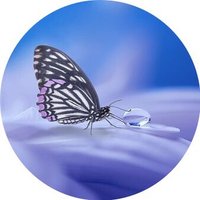 Jason Williams (@rich999998) 's Twitter Profile