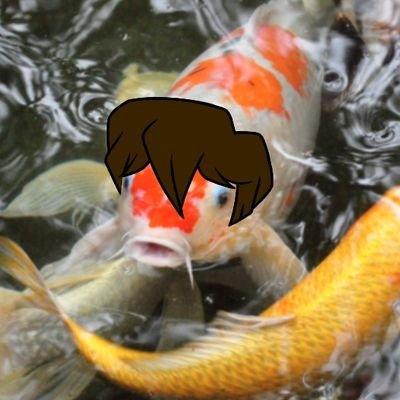 I'm Ale. 27. Sadge. I like to draw and do photography. My life is a meme.