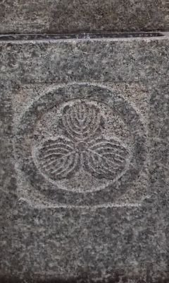 xrxAGmPzdJJxcVW's profile picture. 