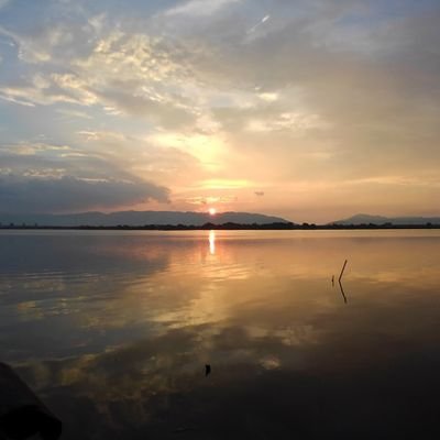 ぱにぱに8274fufufu (@panipani8274fuf) / Posts / X