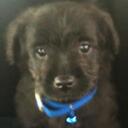 Brian Augustine - @Barski_ - Twitter