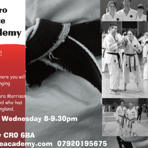 Kokoro Karate Academy Croydon