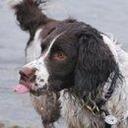 Nikki Dodd - @Nikki_Dodd - Twitter