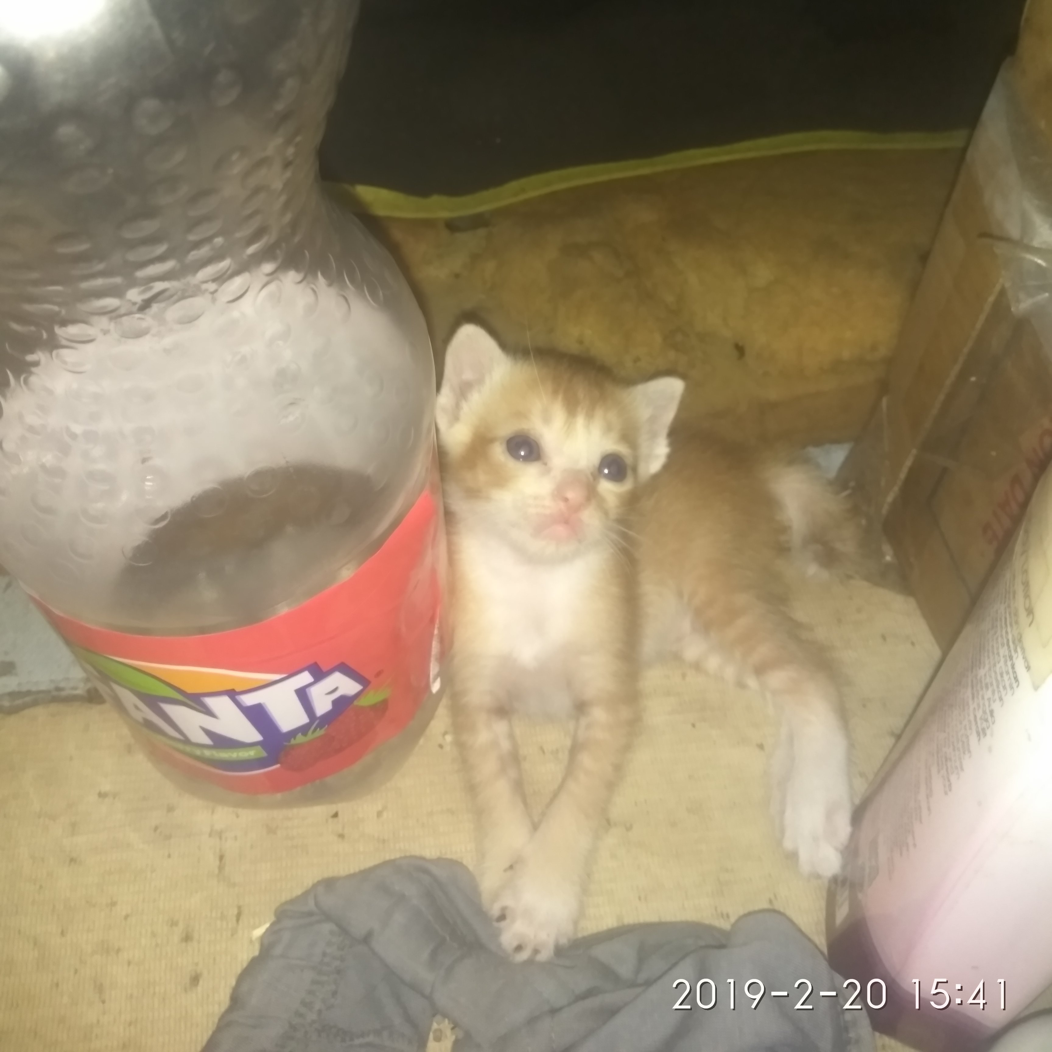 khaidir68097450's profile picture. my life at any where