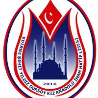 Şehit Yıldız Gürsoy Kız Anadolu İHL (@sygkaihl) Twitter profile photo