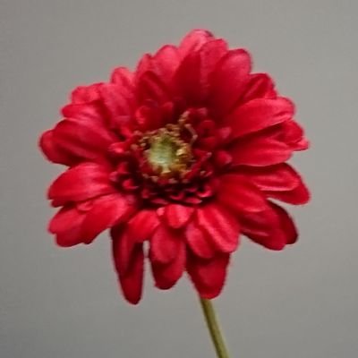 karappo10's profile picture. 笑い飯　
普段は図書館勤務のお笑いに身を捧ぐ女です。