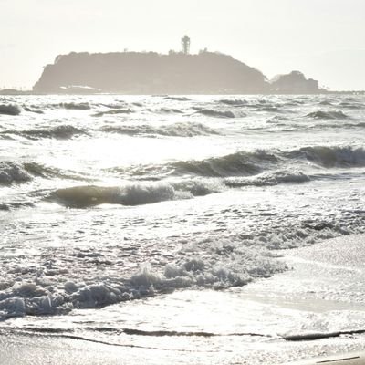 quei_sasaqui's profile picture. Si tu m'apprivoise,