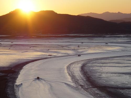 K1WiBro's profile picture. 프로그래머,WiBro1호가입,걷기,등산,자전거,여행,클래식,수원삼성FC,...,사찰음식,궁중요리,역사박물관,...,택리지,..,괴산,예천,봉화,... 시간날때마다 걷고 있습니다. 가장 좋은 유산소운동이라~