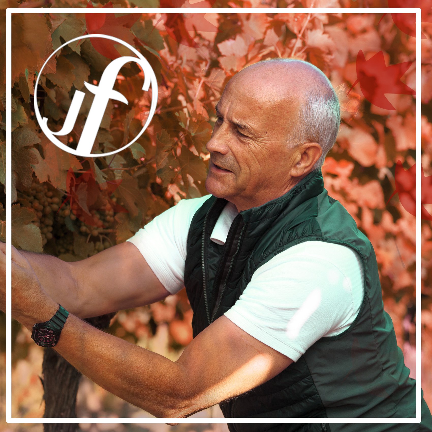 Jacques FRELIN est la référence française des VINS BIO. Depuis plus de 30 ans, son métier est d'élaborer des VINS BIO de QUALITE de la VIGNE à la bouteille