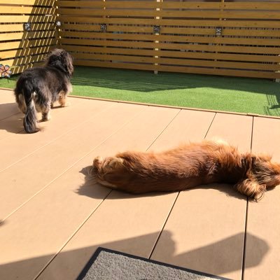 kr6zx's profile picture. 一宮    社会人