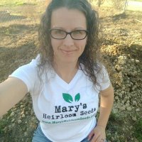 Mary's Heirloom Seed(@marysheirlooms) 's Twitter Profile Photo