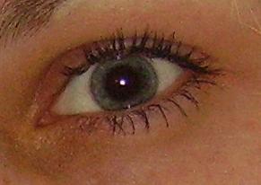 watcher