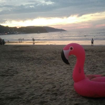 sapito Profile