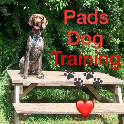 Pads Dog Training is all about having fun whilst training your dog!