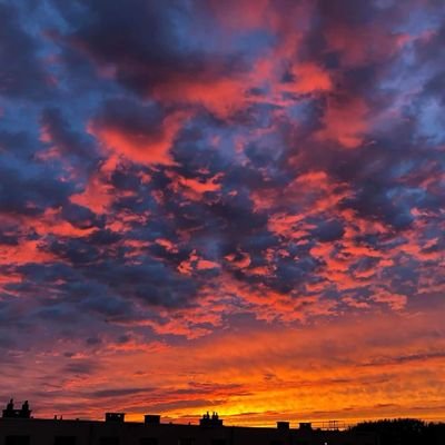 oregonpigqueen's profile picture. Politics & Government. #MAGA Coffee addict. I’ll never bend a knee but to God #Christian, #small business owner oppressed by govt. #Epsteindidn'tkillhimself