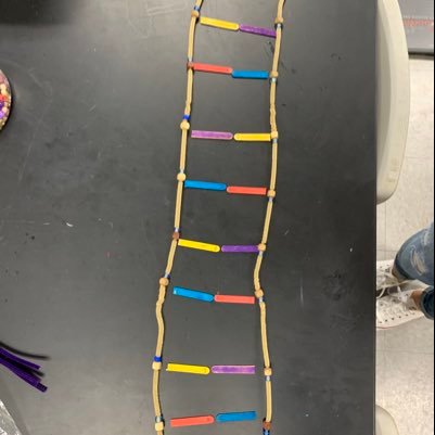 DNA Replication in 60 seconds brought to you by the blue group in Mrs. Scherman’s AP Biology class at Loveland High School