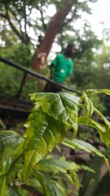 tygak11's profile picture. T-raww