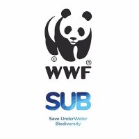 WWF S.U.B.(@wwfsub) 's Twitter Profile Photo