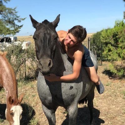 tomasemchuk's profile picture. Equitación 😍🐎